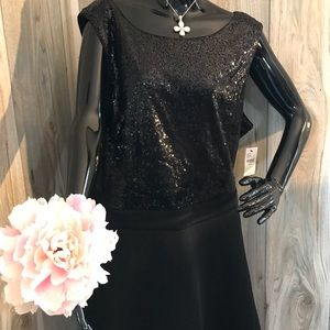 Size 22/24 Plus Lane Bryant Black Sequin Dress